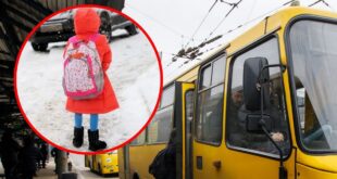 ВИДЕО: В Херсоне водитель маршрутки выгнал на улицу ребенка с эпилепсией из-за того что он расплатился монетами за проезд
