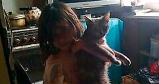 ВИДЕО: В Подмосковье обнаружили шестилетнюю девочку, жившую со стаей кошек на заброшенной даче