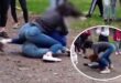 ВИДЕО: В Запорожье старшеклассницы избили девочку-подростка: толпа очевидцев снимала на телефоны