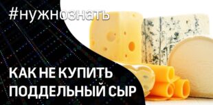 Как отличить сыр от сырного продукта и подделки: советы покупателю, как не нарваться на фальсификат сыра