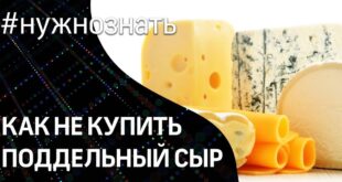 Как отличить сыр от сырного продукта и подделки: советы покупателю, как не нарваться на фальсификат сыра