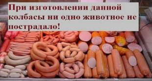 Украинцам вместо колбасы продают фальсификат: какую нельзя покупать и как выбрать качественную?