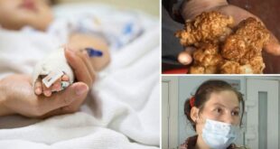 ВИДЕО: Отравление детей грибами в Черниговской области: в больнице умерла пятилетняя девочка и семимесячный малыш