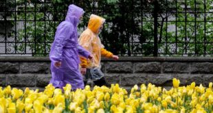 Прогноз погоды на 14 мая 2021: пятница порадует украинцев настоящим летним теплом и накроет грозовыми дождями