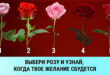 ИНТЕРЕСНЫЙ ТЕСТ: Выбери розу: цветок, который вы выбрали, расскажет, когда сбудется ваше желание!