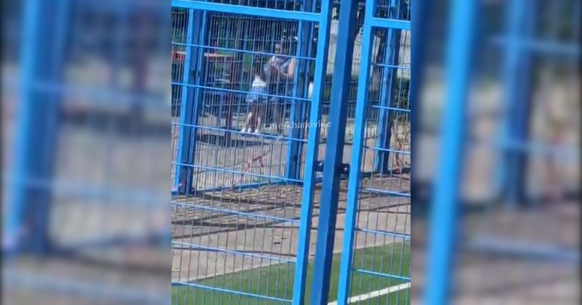 ВИДЕО: В Харькове мать жестоко издевалась над дочкой на прогулке - чужой ребенок снял видео насилия