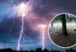 В Черкасской области молния попала в дерево и убила двух человек. Еще один в реанимации