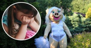 ФОТО: Детский центр во Львове заманивает посетителей стриптизом от свиньи Каролины: "Свинка раздевается и развлекает всех"