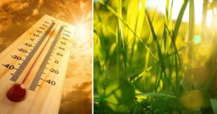 ПРОГНОЗ ПОГОДЫ НА 23 ИЮНЯ В УКРАИНЕ: Температура просто взлетит - где будет совсем невыносимо от жары?