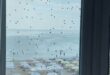 ФОТО, ВИДЕО: "Они везде", - на курортах Херсонщины отдыхающие страдают от нашествия божьих коровок и медуз