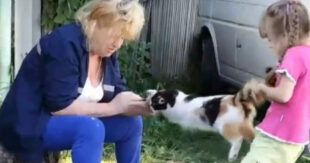 ВИДЕО: "Это не люди": девочка с бабушкой играя и веселясь, пытались разорвать кошку пополам