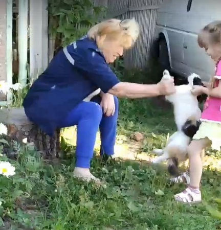 ВИДЕО: "Это не люди": девочка с бабушкой играя и веселясь, пытались разорвать кошку пополам