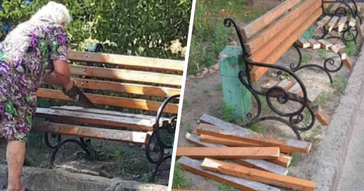 ФОТО, ВИДЕО: В Киеве бабушка распилила скамейку во дворе, чтобы ей не мешали спать шумные компании