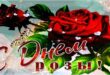 10 июля - День розы и День красивых цветов - Красивые открытки с Днем роз, фото, поздравления, стихи про розы