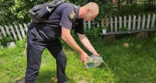 ФОТО: "Лютая спецоперация": в Коростене полицейские похвастались, как отобрали у 71-летней пенсионерки 3,5 литра самогонки