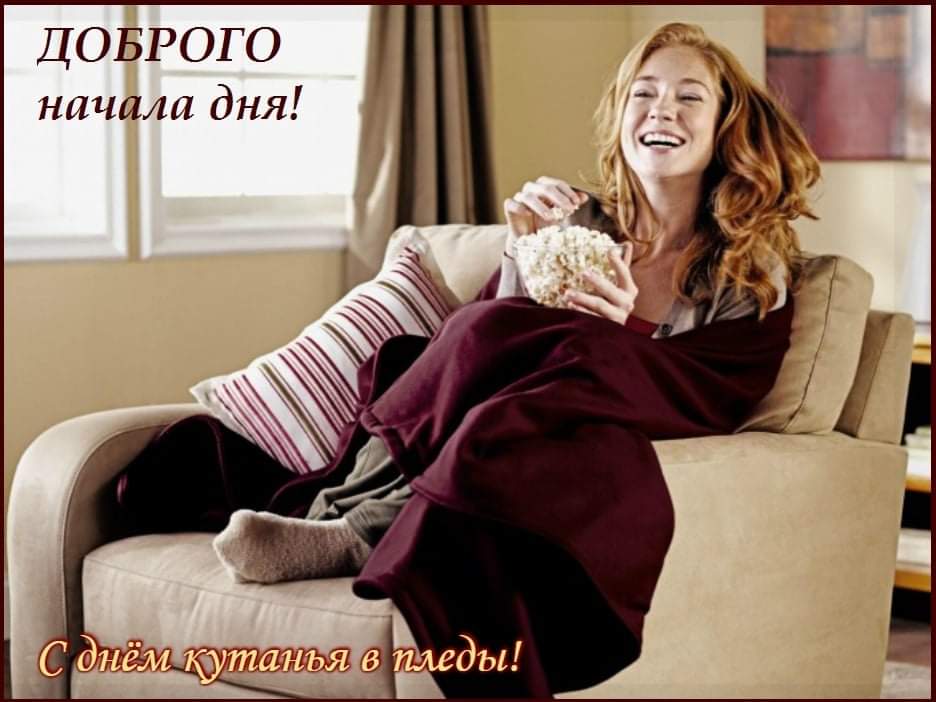 26 октября - День кутания в пледы и мягкие одеяла: смс, красивые открытки с надписями - Прикольные картинки закутанных в теплые пледы