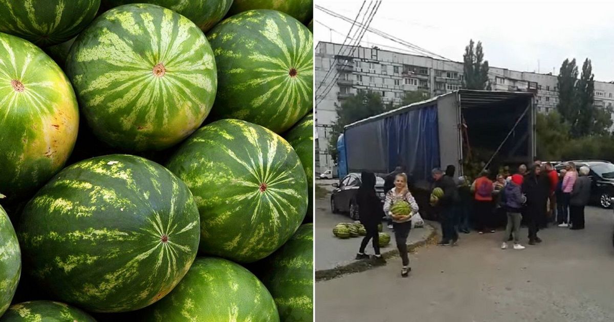 ВИДЕО: Украинские фермеры решили бесплатно раздать арбузы людям на улице
