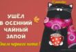 27 октября - День черной кошки / чёрного кота: красивые открытки и картинки с надписями