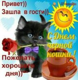 27 октября - День черной кошки / чёрного кота: красивые открытки и картинки с надписями