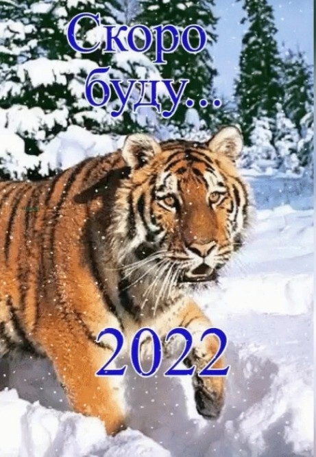  С наступающим Новым годом 2022 годом Тигра! открытки прикольные - Картинки дня хорошие, добрые, смешные – Кто дарит радость по утрам...