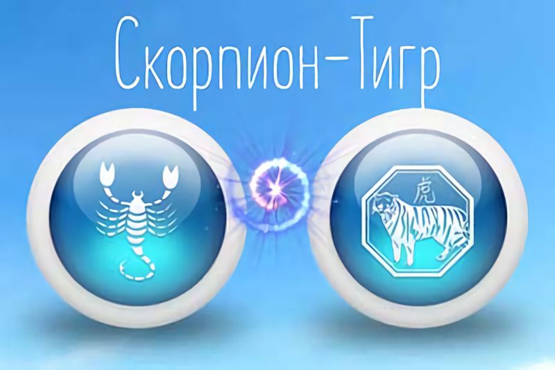 Скорпион (23 октября — 21 ноября) - гороскоп на 2022 год Черного Водяного Тигра