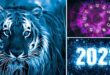 ПРОГНОЗ АСТРОЛОГА: Каким знакам Зодиака по гороскопу год Черного Водяного Тигра 2022 принесет трудности и испытания?