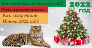 Где, как и с кем встречать Новый год 2022, чтобы не обидеть Тигра, символ предстоящего года
