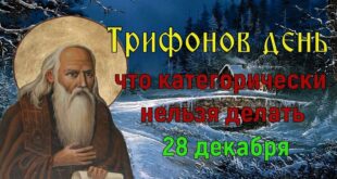 28 декабря православный праздник святого Трифона, Трифонов день: что нельзя, что можно делать, приметы, традиции, именины 28 декабря