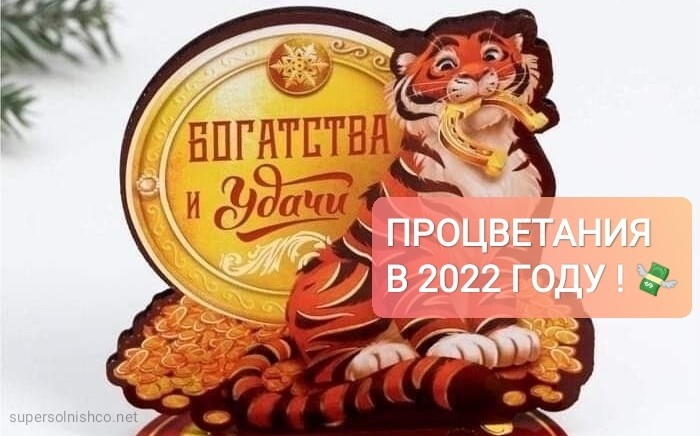 Удачи, Богатства, Процветания! - Новый год 2022 - год Тигра