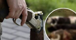 ЗАШЕЛ ВО ДВОР С РУЖЬЕМ: В Херсонской области неадекватный мужчина расстрелял троих собак своей соседки