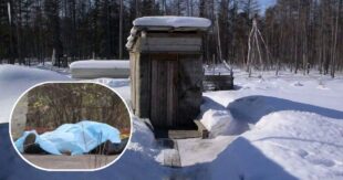 Ужасная смерть: в Днепропетровской области в школьном уличном туалете утонул завхоз школы