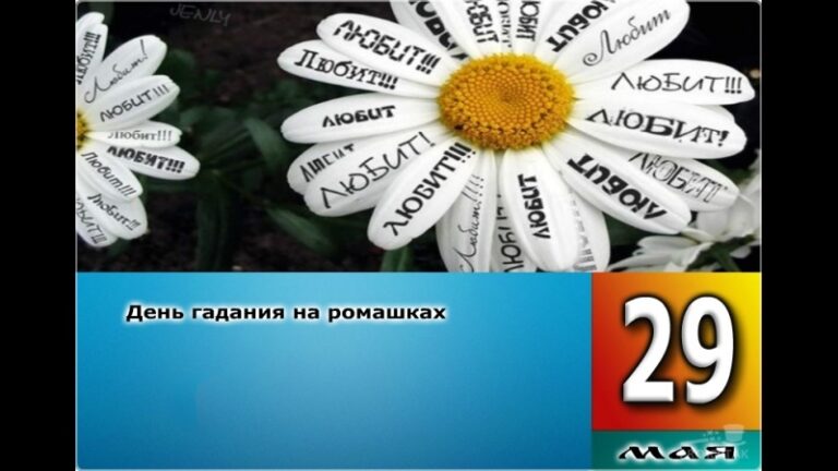 День гадания на ромашках 29 мая картинки с надписями