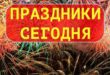 Prazdniki-segodnya vk
