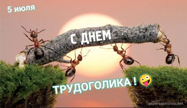 Трудяга картинки прикольные