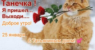 Прикольная картинка: влюбленный кот и надпись С праздником, Танечка! Я пришел... Выходи.... Доброе утро! 25 января С Татьяниным днем!