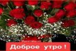 Доброе утро