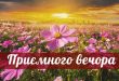 Приємного вечора