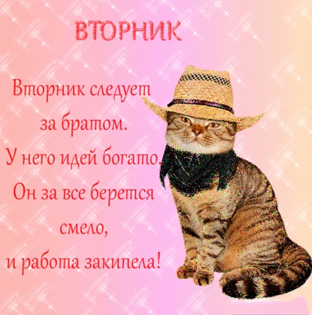 Открытки вторник