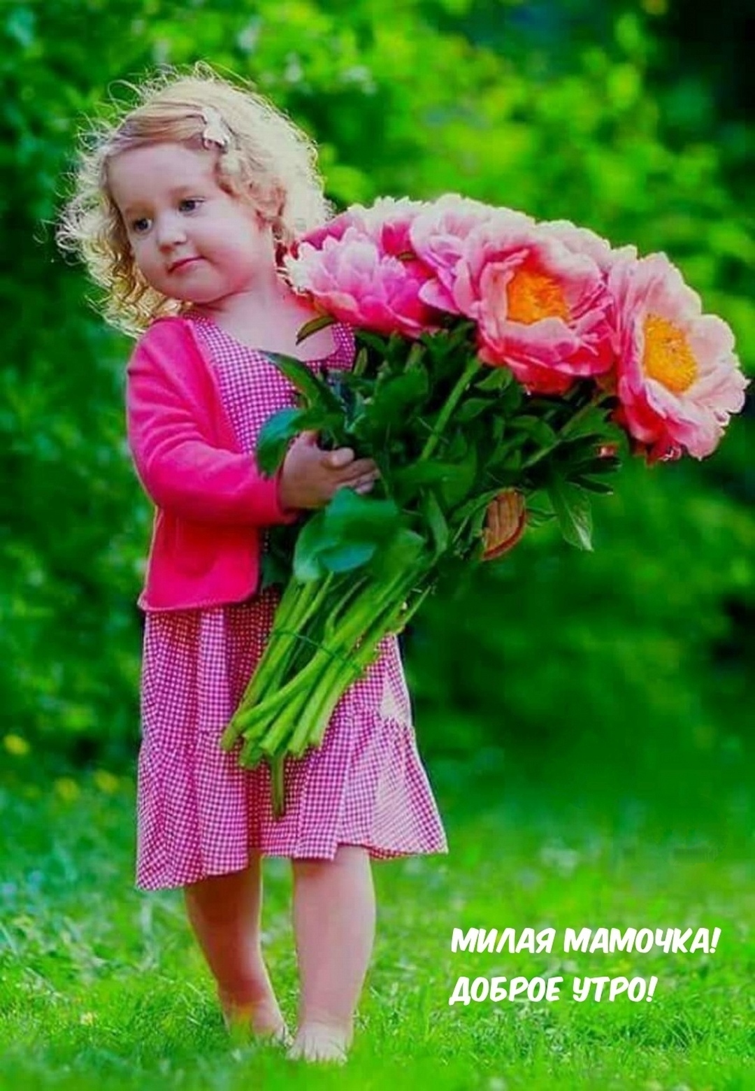 Открытки с детьми с цветами. Девочка с цветами. Дети с цветами. Дети дарят цветы. Девочка с цветочком.