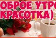 Доброе утро, красотка!