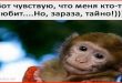 Любит тайно... картинка
