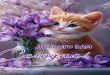 Доброго вам сегодня - Праздники сегодня