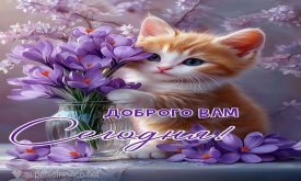 Доброго вам сегодня - Праздники сегодня