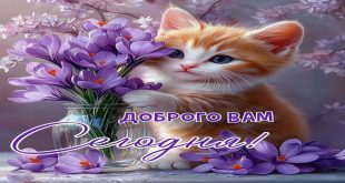 Доброго вам сегодня - Праздники сегодня