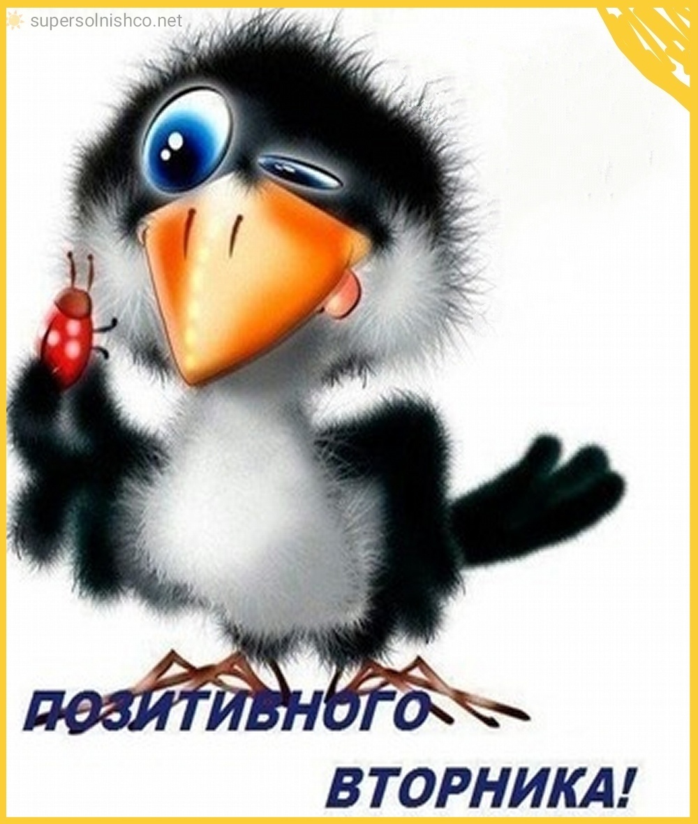 Позитивного вторника
