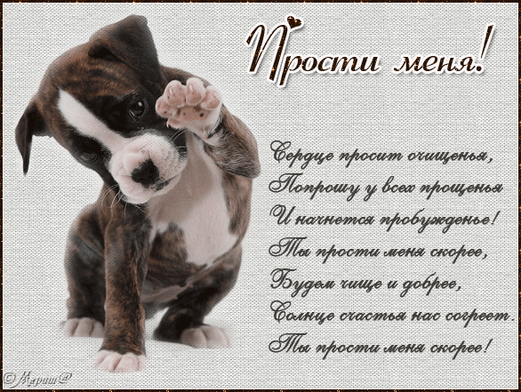 С Прощёным воскресеньем - на каждый день