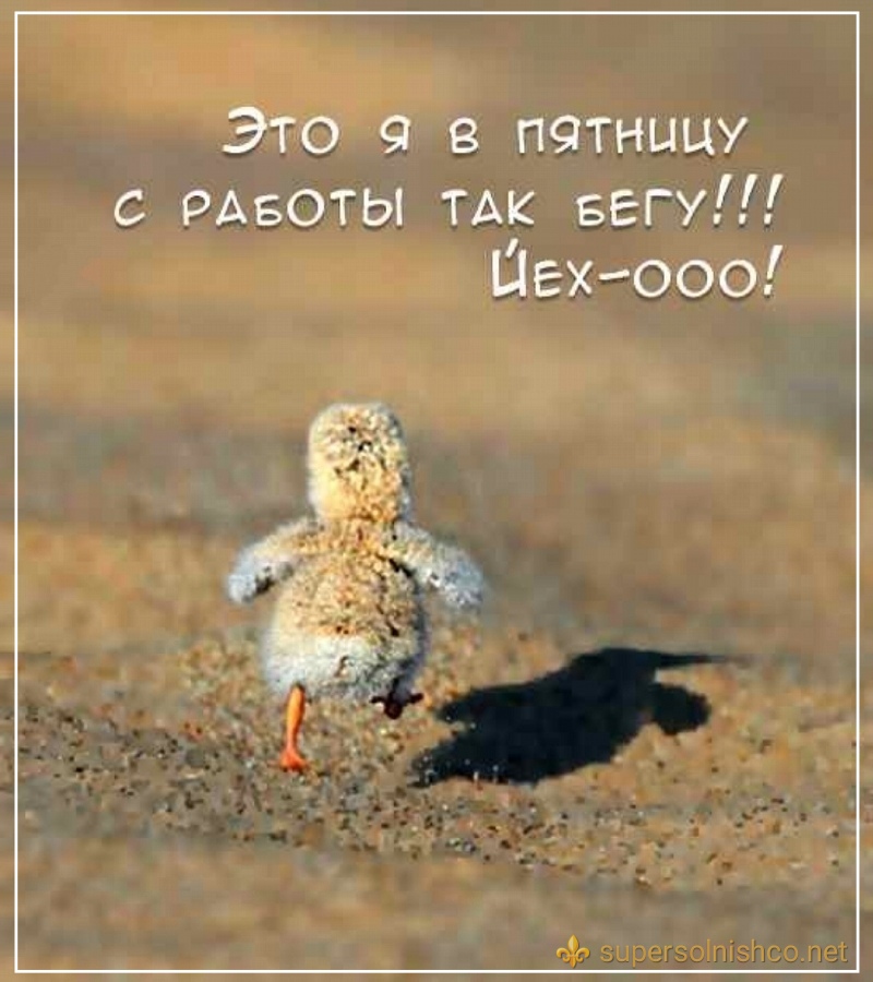 Бегу с работы домой в пятницу