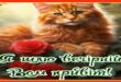 Вечірній привіт