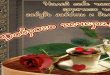 Доброго вечера - роза