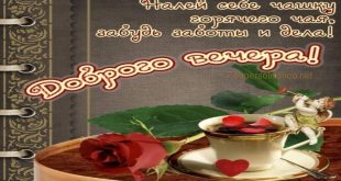 Доброго вечера - роза